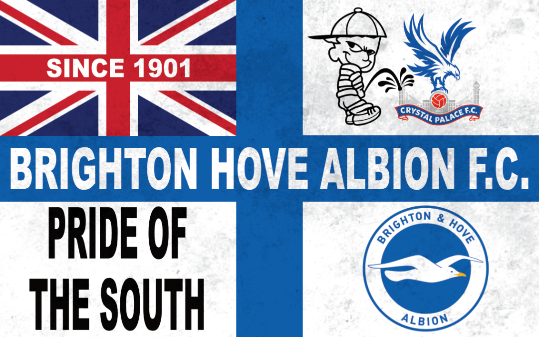 Pride of the south (Blue Flag) – Brighton Hove Albion F.C.