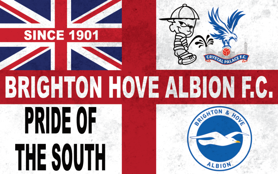 Pride of the south (Red Flag) – Brighton Hove Albion F.C.