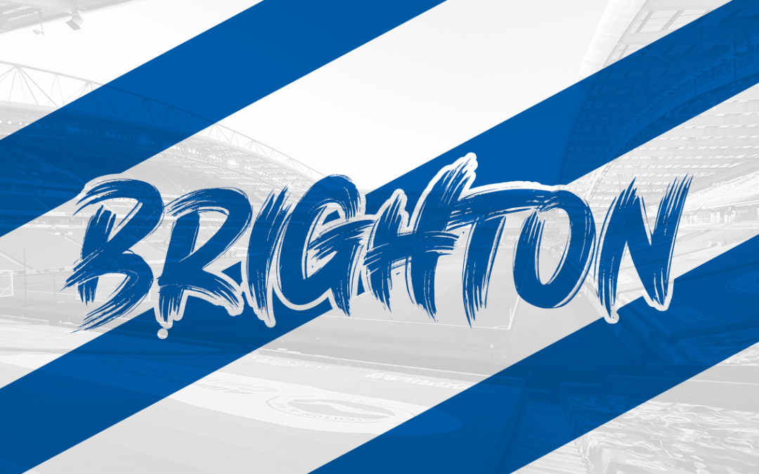 Brighton Hove Albion - Sticker Bundle - Image 5