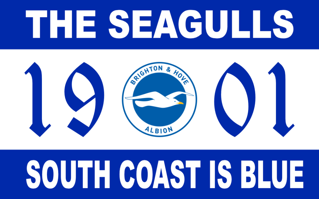 Seagulls, South Coast Is Blue